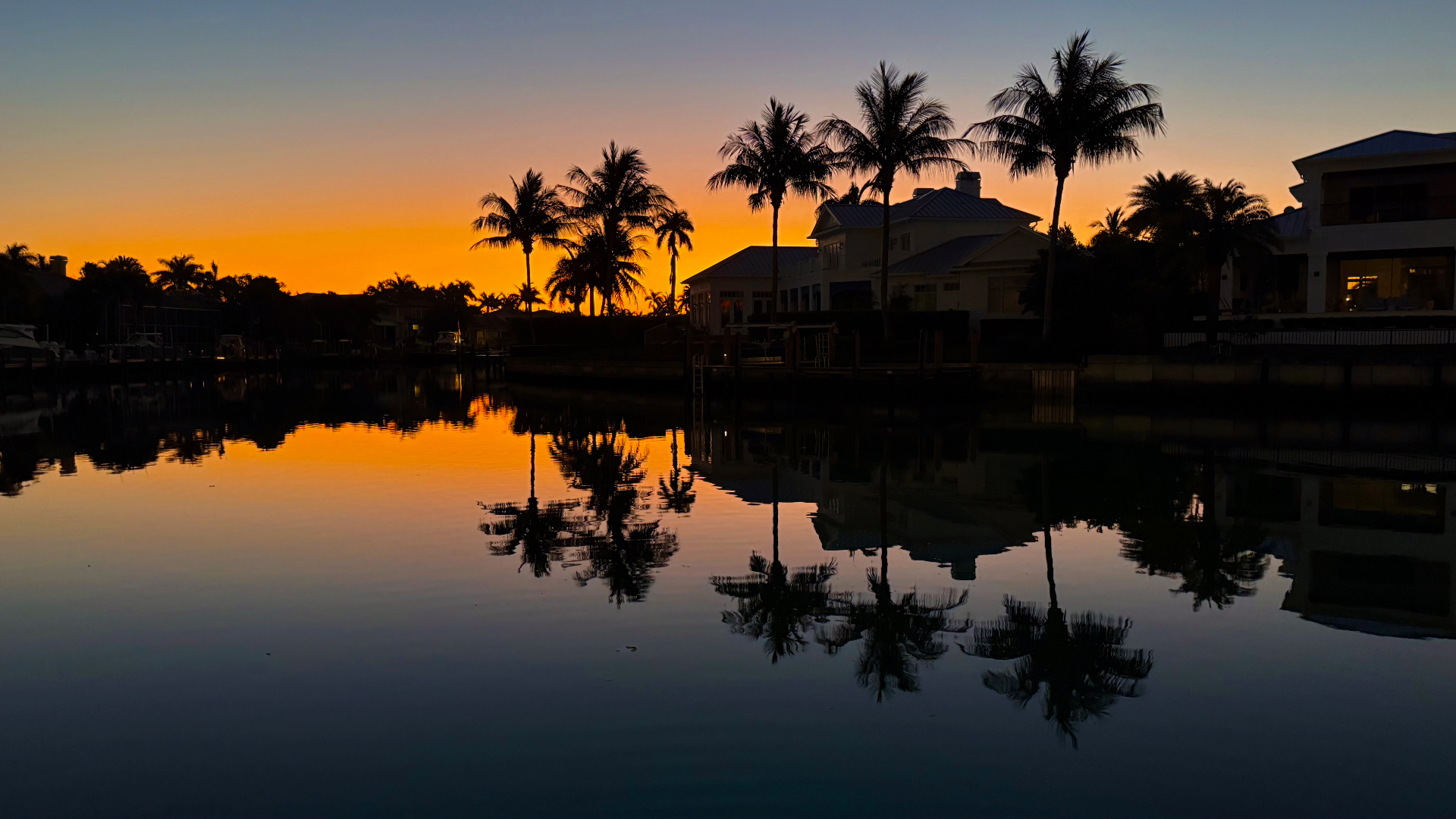 Palm silhouettes reflected on still water
